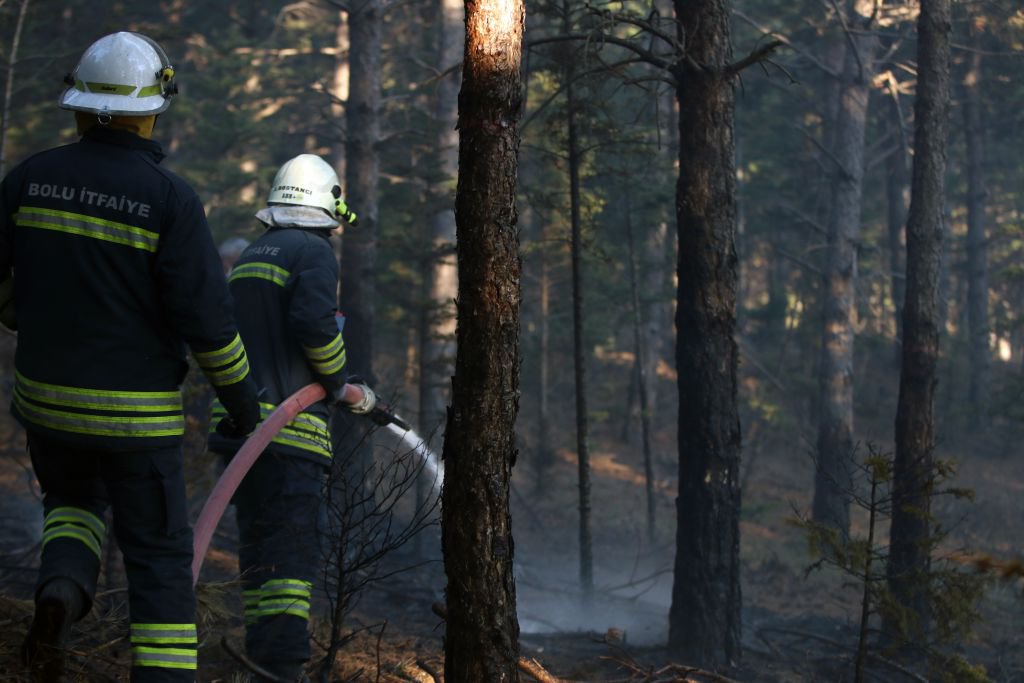 BOLU'DA ORMANLIK ALANDA YANGIN!
