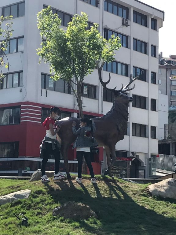 GEYİKLER ÇOCUKLARIN İLGİ ODAĞI OLDU