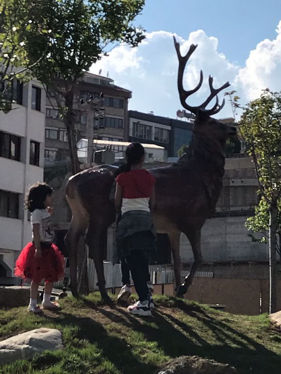 GEYİKLER ÇOCUKLARIN İLGİ ODAĞI OLDU