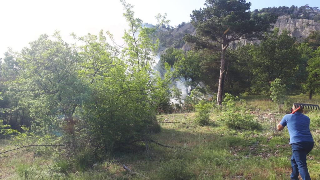 GÖYNÜK'TE KORKUTAN ORMAN YANGINI