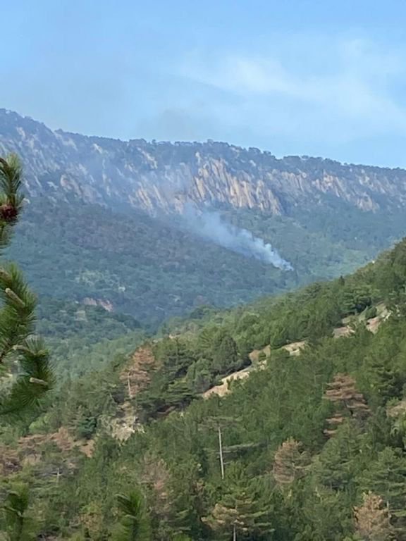 GÖYNÜK'TE KORKUTAN ORMAN YANGINI