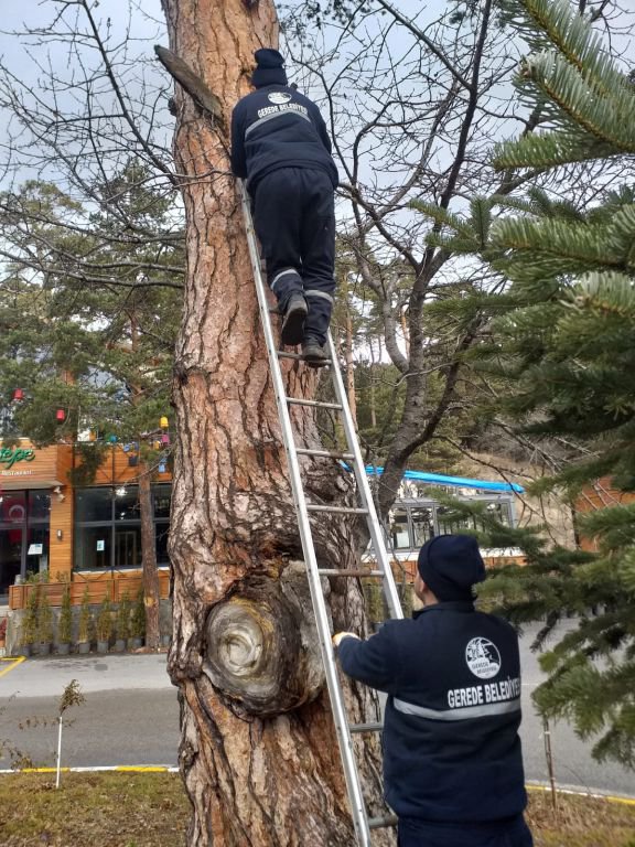 HER ŞEY CAN'LAR İÇİN