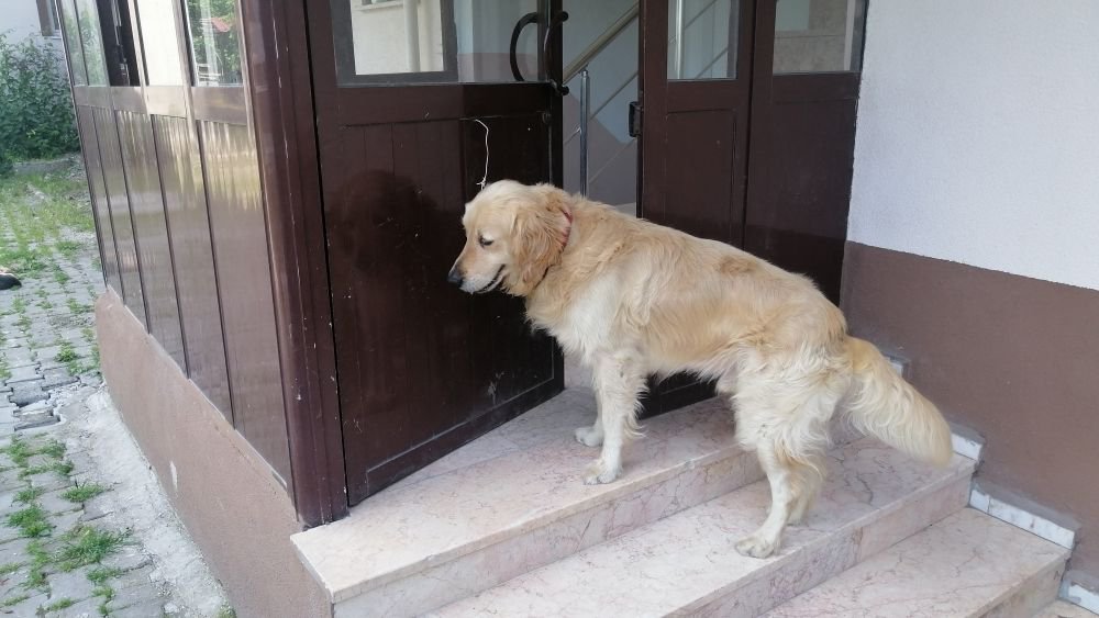 HERKES ONU KONUŞUYOR