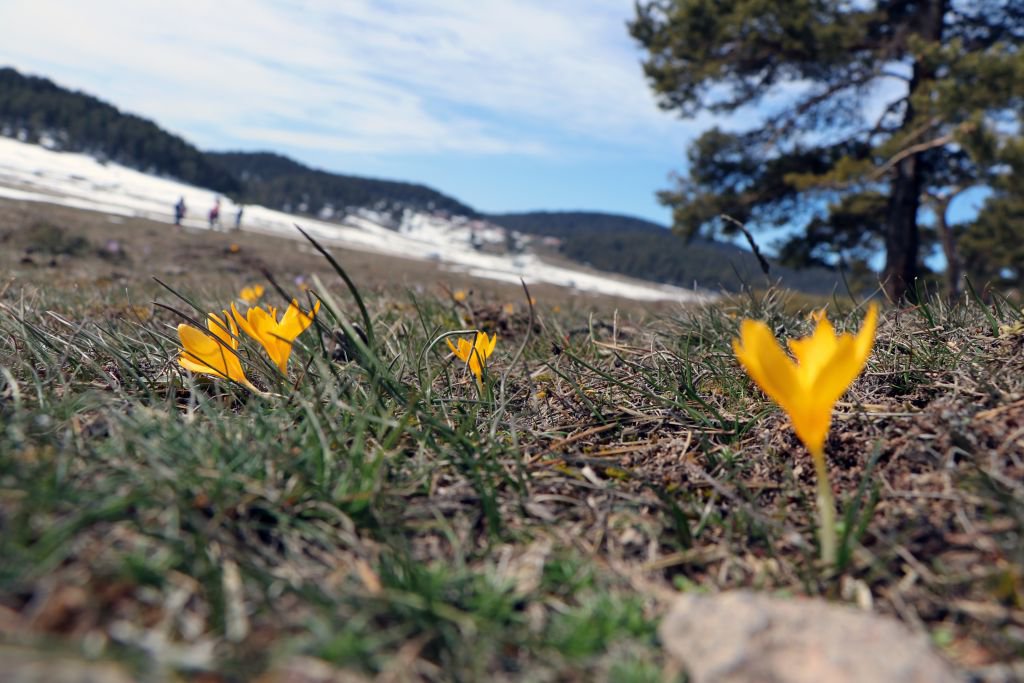 KIŞ VE İLKBAHAR BİR ARADA