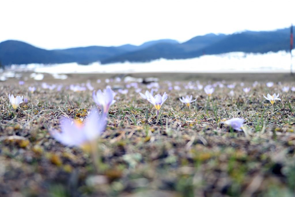 KIŞ VE İLKBAHAR BİR ARADA