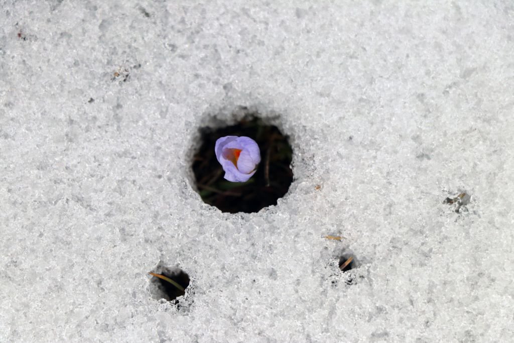 KIŞ VE İLKBAHAR BİR ARADA