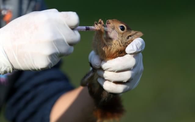 KOMŞUDAN YÜREK ISITAN HABER
