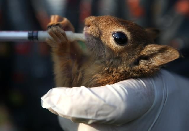KOMŞUDAN YÜREK ISITAN HABER
