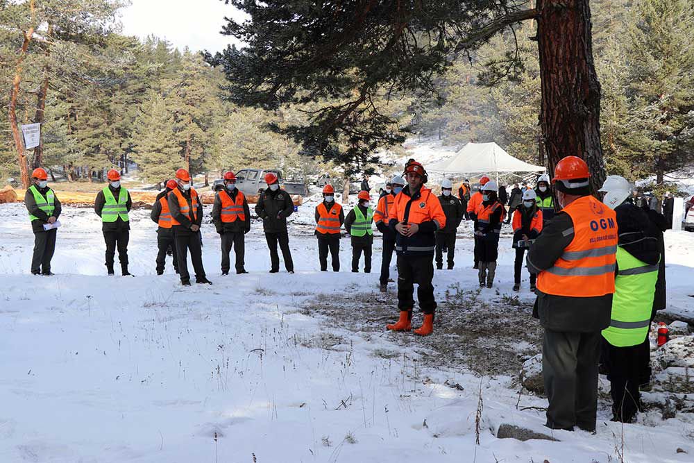 ORMANLIK ALAN SAYISINDA REKOR BÜYÜME