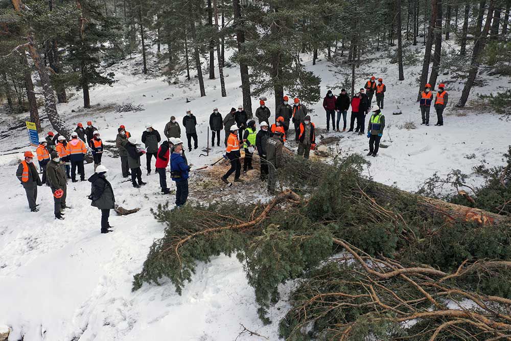 ORMANLIK ALAN SAYISINDA REKOR BÜYÜME