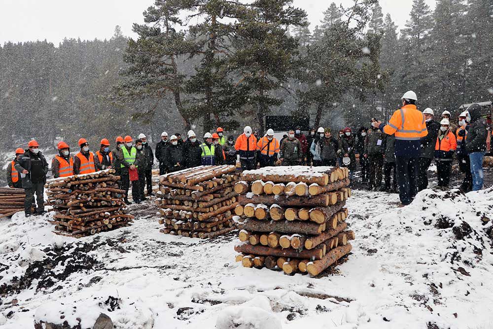 ORMANLIK ALAN SAYISINDA REKOR BÜYÜME