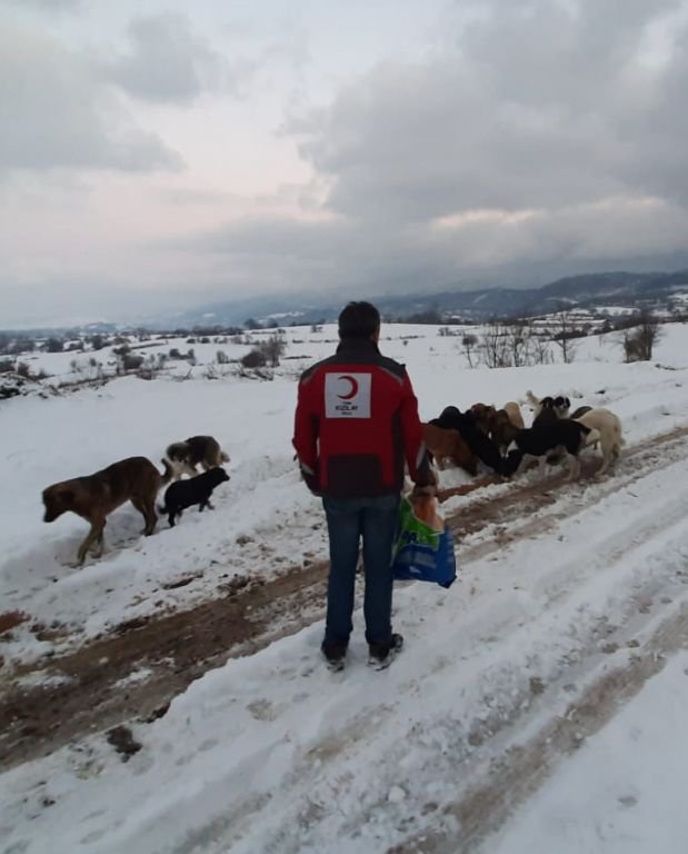 SOKAK HAYVANLARINI UNUTMADILAR