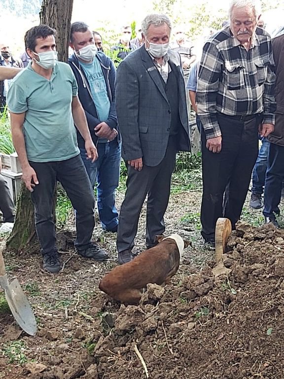 SOKAK KÖPEĞİ MEZARININ BAŞINDAN AYRILMADI
