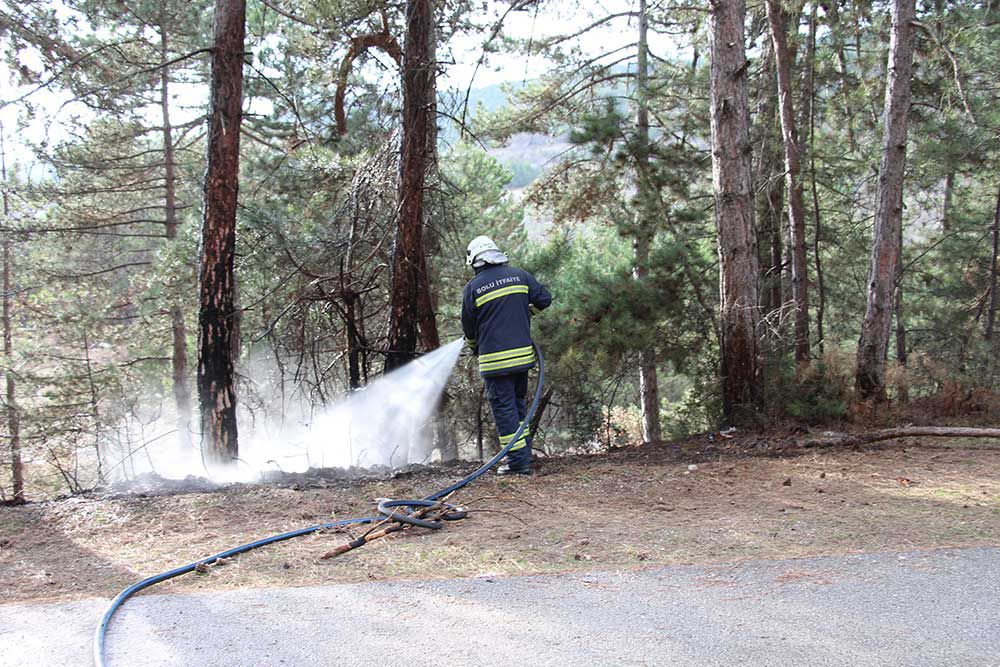 VATANDAŞLAR FARK ETTİ,  BÜYÜMEDEN  SÖNDÜRÜLDÜ