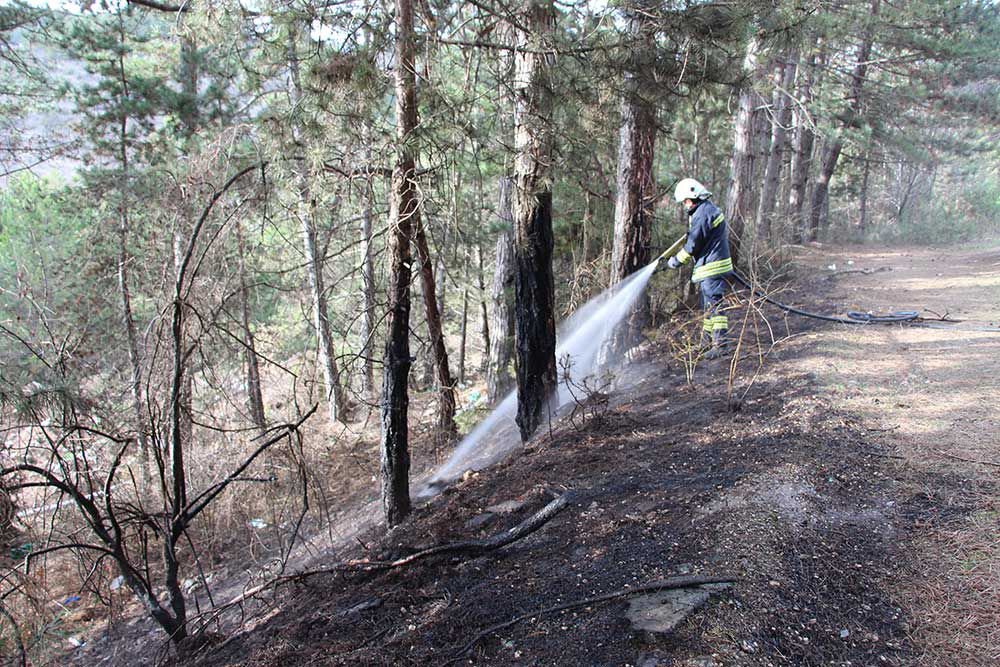 VATANDAŞLAR FARK ETTİ,  BÜYÜMEDEN  SÖNDÜRÜLDÜ