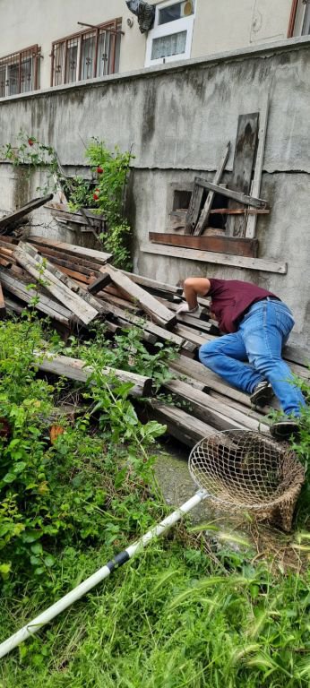 YARALI KEDİ YAKALANAMADI