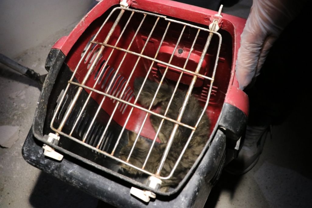 YARDIM SESİ EKİPLERİ SEFERBER ETTİ