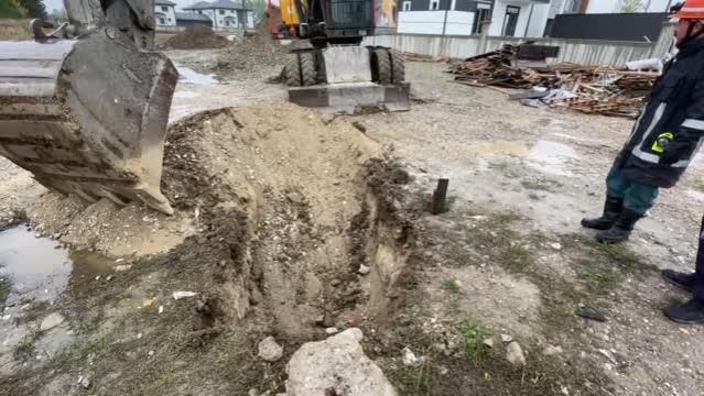 YAVRU KÖPEK İÇİN SEFERBER OLDULAR