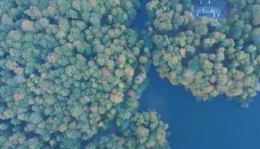 YEDİGÖLLER'DE MUHTEŞEM SONBAHAR HAVASI