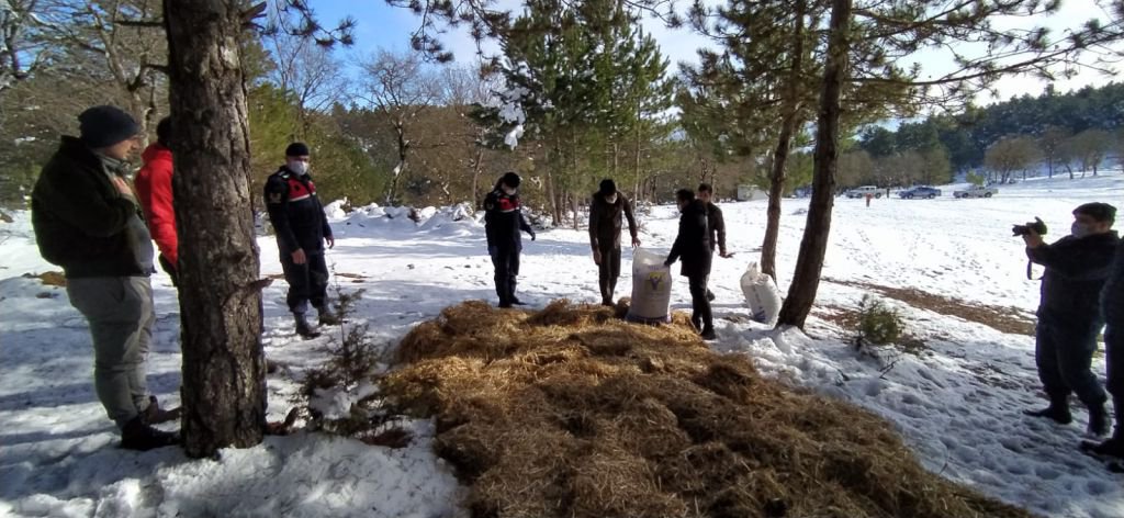 YEMLENEN ATLAR BÖYLE GÖRÜNTÜLENDİ