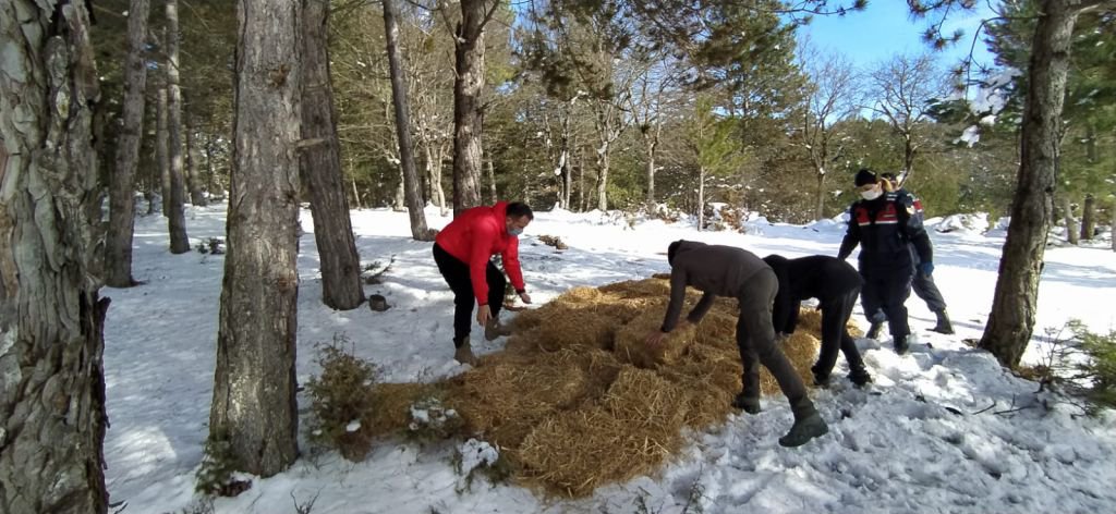 YEMLENEN ATLAR BÖYLE GÖRÜNTÜLENDİ