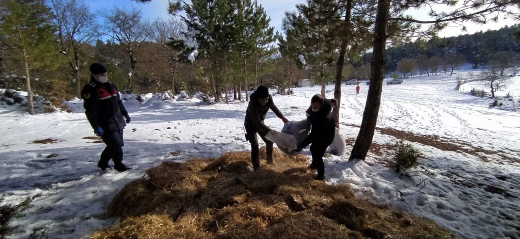 YEMLENEN ATLAR BÖYLE GÖRÜNTÜLENDİ