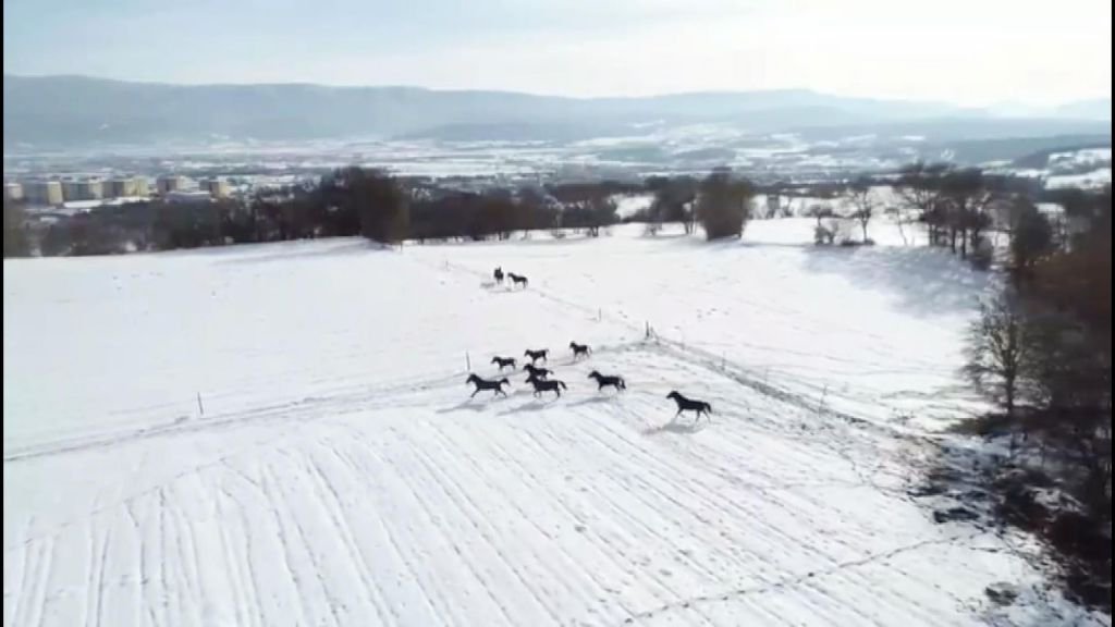 YEMLENEN ATLAR BÖYLE GÖRÜNTÜLENDİ