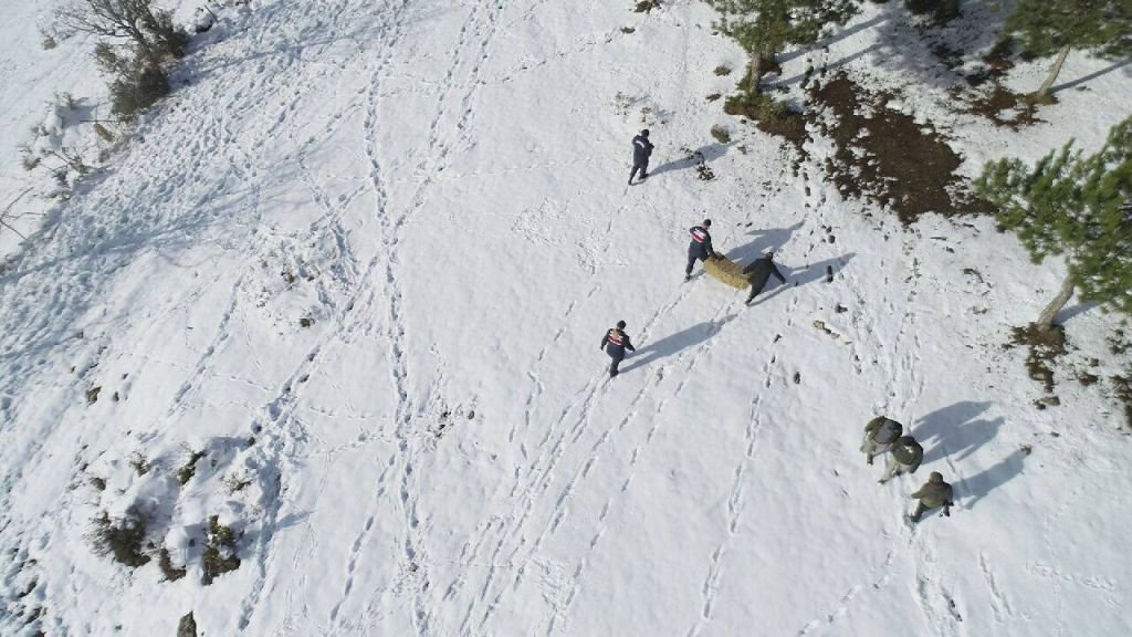 YEMLENEN ATLAR BÖYLE GÖRÜNTÜLENDİ