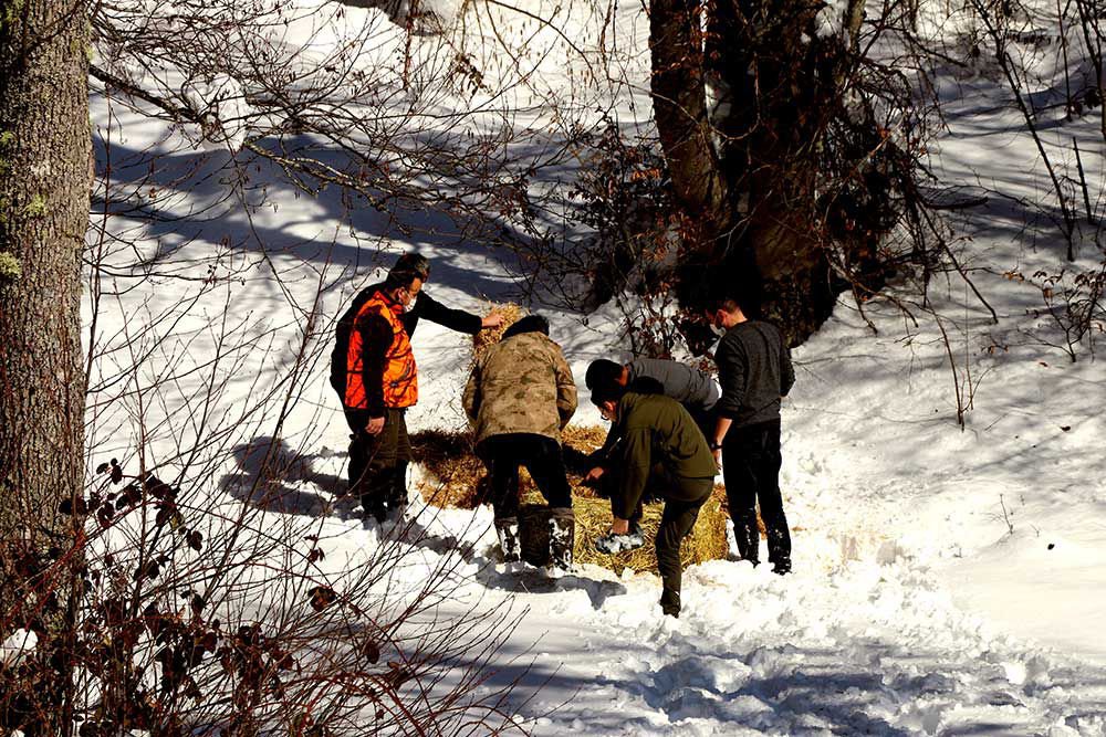 YILKI ATLARINA YEM BIRAKILDI