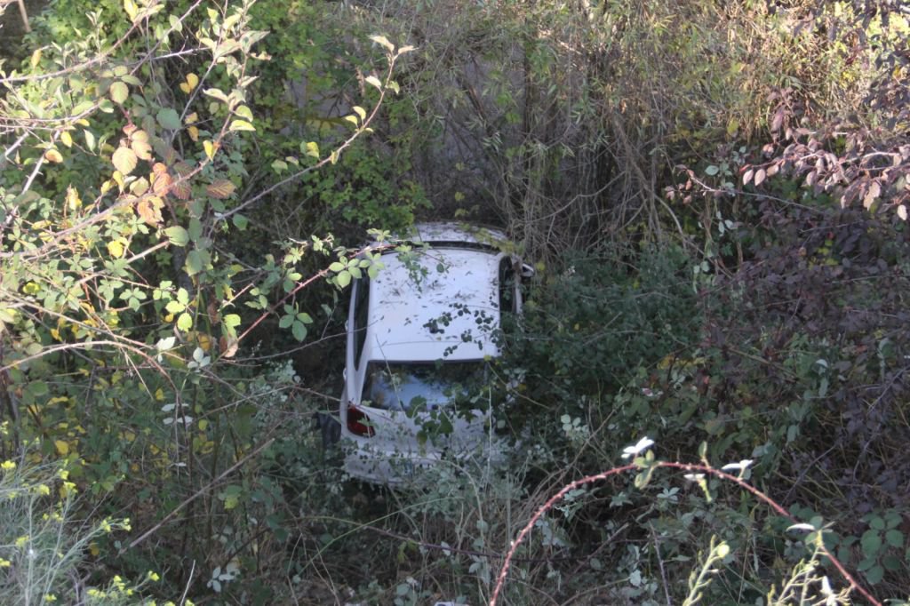 YOLDAN ÇIKIP DEREYE UÇTU