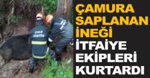 ÇAMURA SAPLANAN İNEĞİ EKİPLER KURTARDI