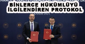 CEZAEVİNDEKİ HÜKÜMLÜLER ORMANLARDA ÇALIŞACAK