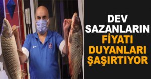 DEV SAZANLARIN FİYATI ŞAŞIRTIYOR