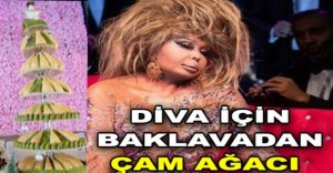 DİVA İÇİN BAKLAVADAN ÇAM AĞACI