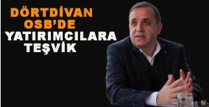 DÖRTDİVAN OSB’DE YATIRIMCILARA TEŞVİK