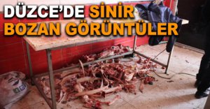 SİNİR BOZAN GÖRÜNTÜLER