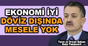EKONOMİ İYİ DÖVİZ DIŞINDA MESELE YOK