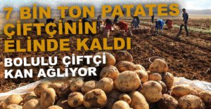 FİDAN'DAN HÜKÜMETE ELEŞTİRİ