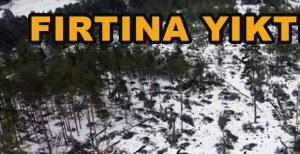 FIRTINA NEDENİYLE AĞAÇLAR DEVRİLDİ
