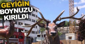 GEYİĞİN BOYNUZU KIRILDI