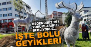 GEYİKLER MEYDANI SÜSLEDİ