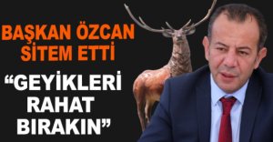 “GEYİKLERİ RAHAT  BIRAKIN”