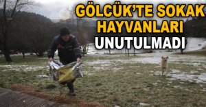 GÖLCÜK'TE SOKAK HAYVANLARI UNUTULMADI