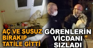GÖRENLERİN VİCDANI SIZLADI
