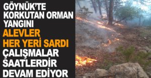 GÖYNÜK'TE KORKUTAN ORMAN YANGINI