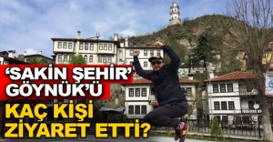 GÖYNÜK'Ü KAÇ KİŞİ ZİYARET ETTİ ?