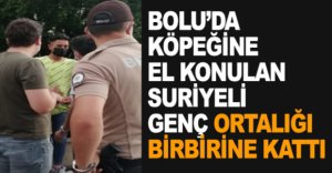 SURİYELİ GENÇ ORTALIĞI BİRBİRİNE KATTI