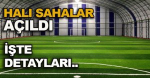 HALI SAHALAR AÇILDI