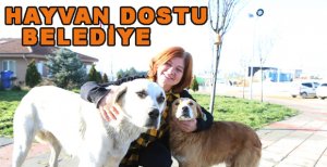 HAYVAN DOSTU BELEDİYE