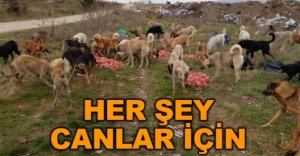 HER ŞEY CANLAR İÇİN